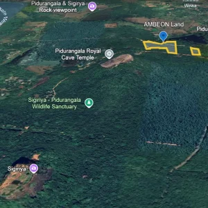 Screenshot 2025-02-24 110311