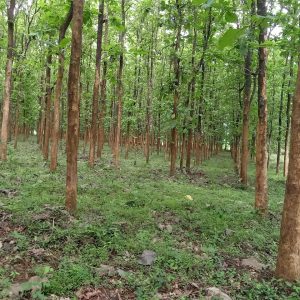 WhatsApp Image 2023-11-23 at 10.44.57