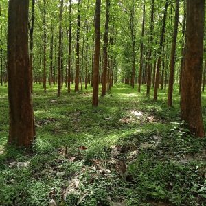 WhatsApp Image 2023-11-23 at 10.45.18