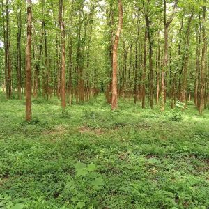 WhatsApp Image 2023-11-23 at 10.45.20