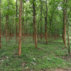 WhatsApp Image 2023-11-23 at 10.45.21