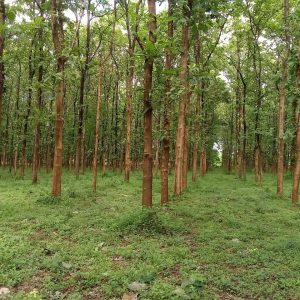 WhatsApp Image 2023-11-23 at 10.45.27 (1)