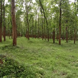 WhatsApp Image 2023-11-23 at 10.45.28 (1)