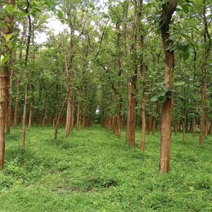 WhatsApp Image 2023-11-23 at 10.45.29 (1)