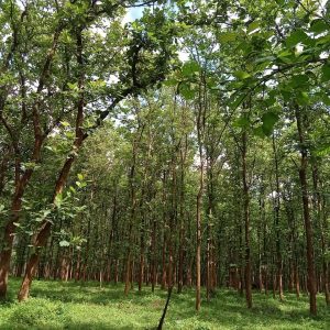 WhatsApp Image 2023-11-23 at 10.45.29