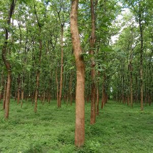 WhatsApp Image 2023-11-23 at 10.45.38