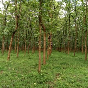 WhatsApp Image 2023-11-23 at 10.45.39