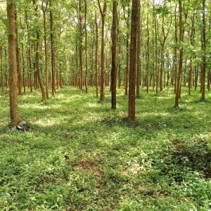 WhatsApp Image 2023-11-23 at 10.45.42 (1)