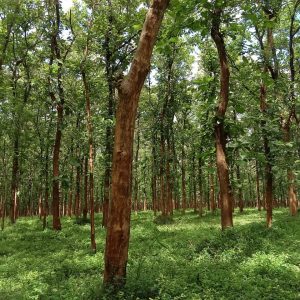 WhatsApp Image 2023-11-23 at 10.45.43