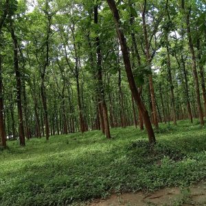 WhatsApp Image 2023-11-23 at 10.45.44 (1)