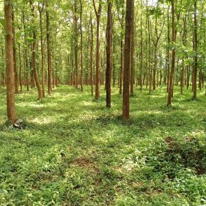 WhatsApp Image 2023-11-23 at 10.45.44 (2)