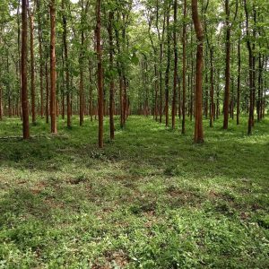 WhatsApp Image 2023-11-23 at 10.45.45 (2)