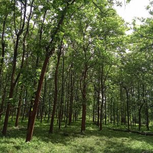 WhatsApp Image 2023-11-23 at 10.45.46