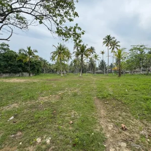 WhatsApp Image 2025-03-10 at 12.12.04_42a0acf7