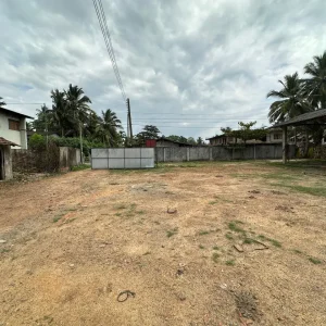 WhatsApp Image 2025-03-11 at 15.07.32_6bf8c5da